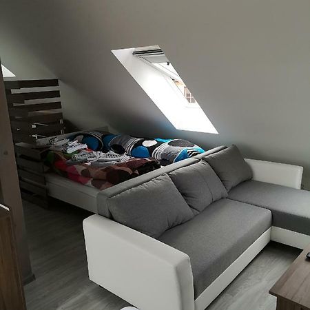 Centrum Apartman S- Dom 巴尔代约夫 外观 照片