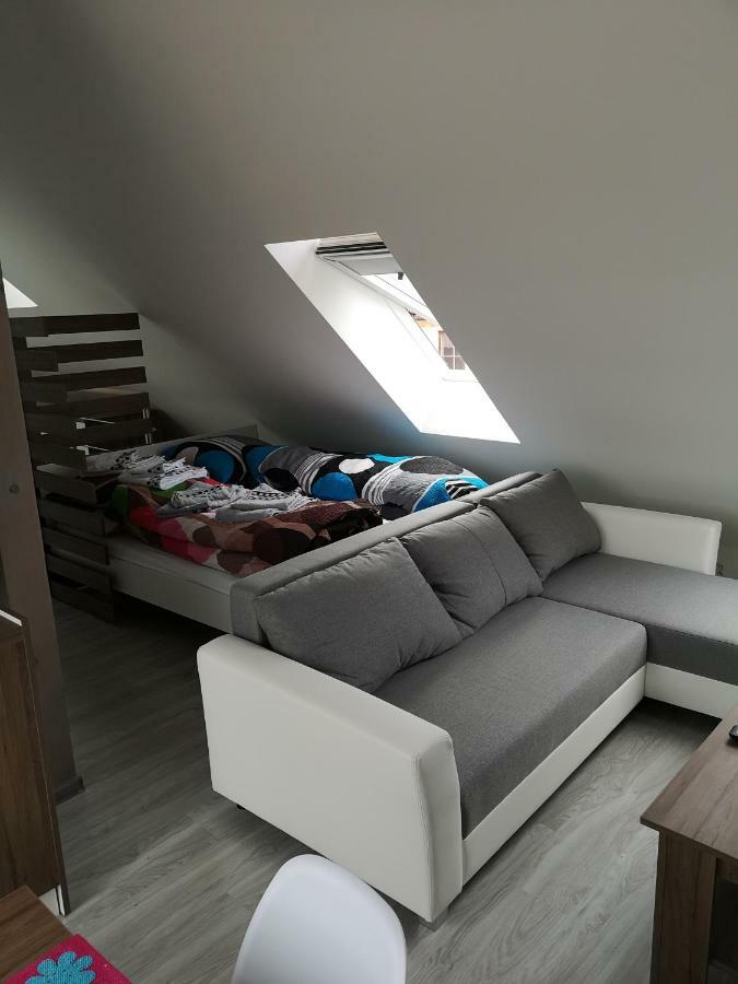Centrum Apartman S- Dom 巴尔代约夫 外观 照片